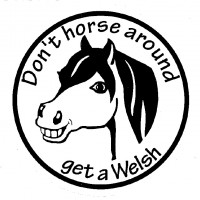 Don't horse around1