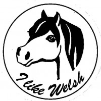I like Welsh