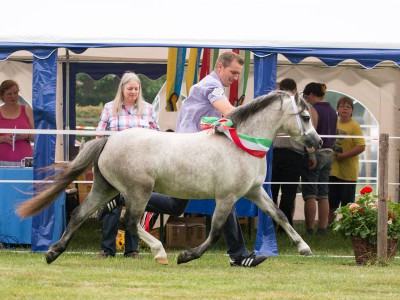 Weser-Ems 2015 Jugendsieger Leybucht's Silver Spray Weser-Ems 2015 Jugendsieger Leybucht's Silver Spray