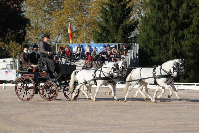 3_Gold_in_dressage_Foto__Marie_de_Ronde_-_Oudemans