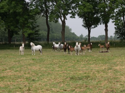 Weser-Ems 2016 Weser-Ems 2016