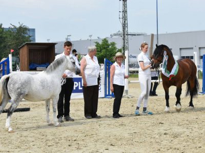 Tagessieger RLP 2016_Foto: Susan Janz