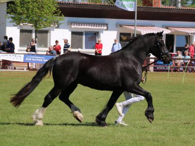 Brennabor Lleuad Fedi_BraLa2016 Foto A. Emmerich (1)