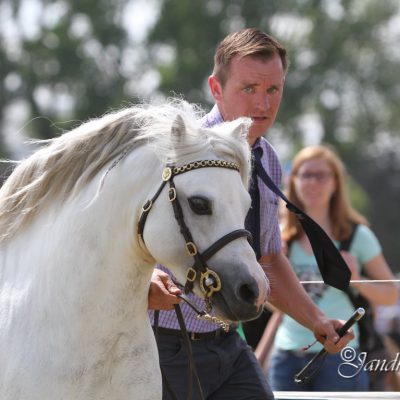 EOA 2016 Foto A. Jandke (23)