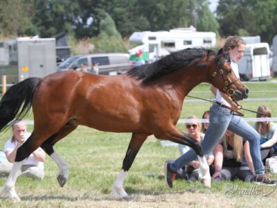 EOA 2016 Foto A. Jandke (25) EOA 2016 Foto A. Jandke (25)
