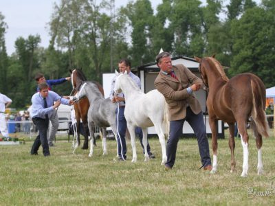 EOA 2016 Foto A. Jandke (6) EOA 2016 Foto A. Jandke (6)