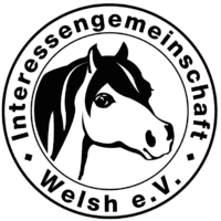ig_logo2 ig_logo2