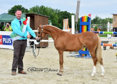 Jugendsieger RLP 2016_Foto Susan Janz1