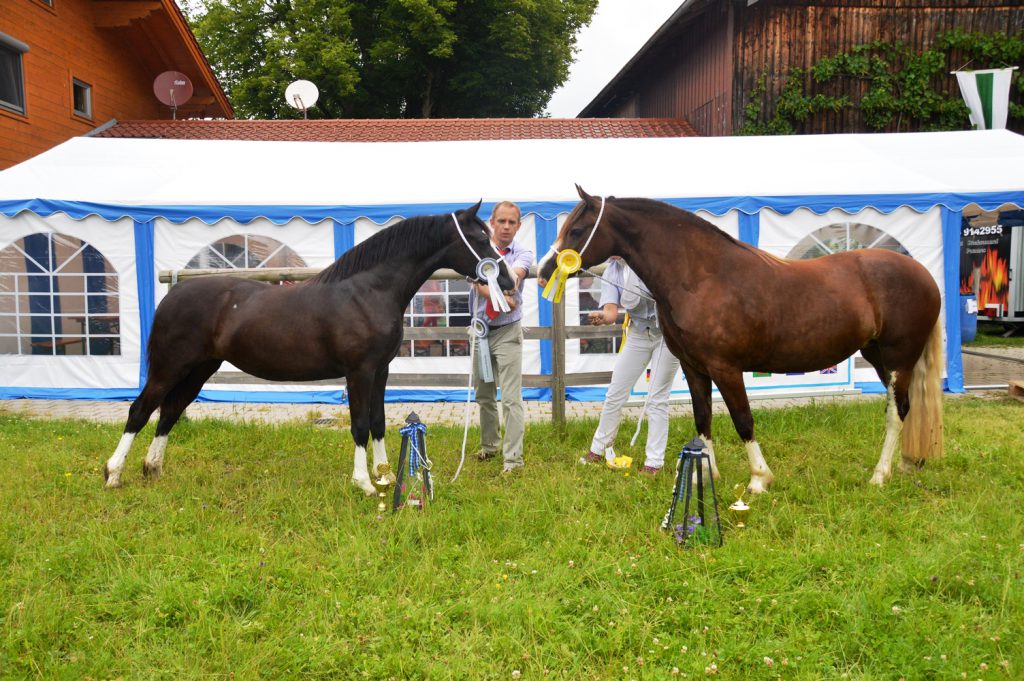 RS Bayern 2016 (5)