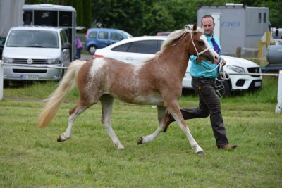 RS Hessen 2016 Foto F. Rosenthal (19)