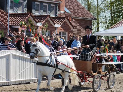 Leybuchts Pierre (2) Leybuchts Pierre (2)