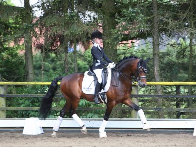 Ausflug Weser-Ems 2017 (5) Ausflug Weser-Ems 2017 (5)