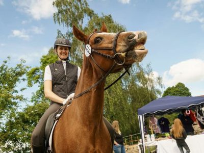 Welsh Sports Day 2017 (12)