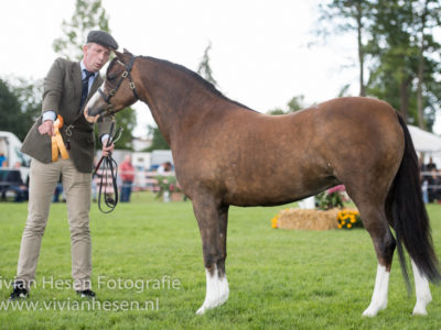 Foto-10 Foto: Vivian Hesen Fotografie Foto-10 Foto: Vivian Hesen Fotografie