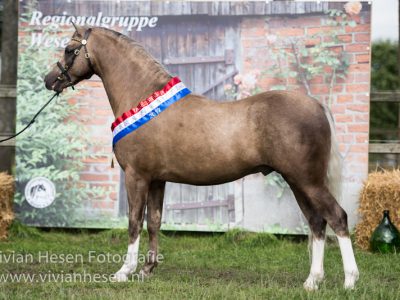 Foto-18 Foto: Vivian Hesen Fotografie Foto-18 Foto: Vivian Hesen Fotografie