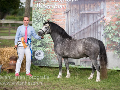 Foto-19 Foto: Vivian Hesen Fotografie Foto-19 Foto: Vivian Hesen Fotografie