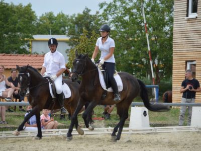tambour-leo-sattelkl