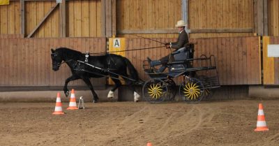 Leistungsprüfung Oberpörlitz 2017 (10)