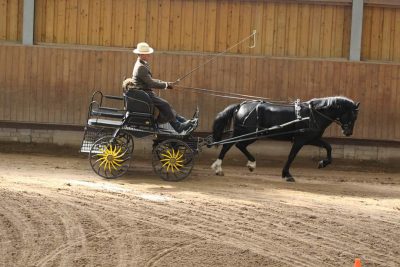 Leistungsprüfung Oberpörlitz 2017 (11)