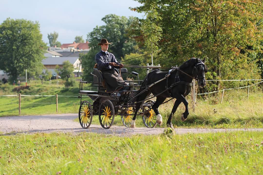Leistungsprüfung Oberpörlitz 2017 (12)