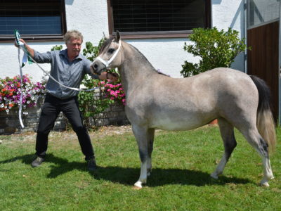 Jugendchampion KAI Juliette mit Georg Kitzbichler