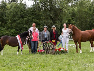 RS_H-5401 Titelbild