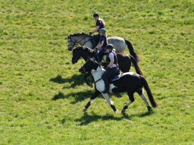RG SH_HH Gelände 2019 (2)