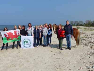RG SH_HH Schauvorbereitung 2019 (1)