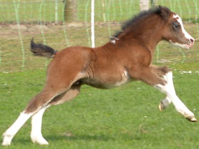 55620994_2195295743868951_1373320796532899840_o (3) 55620994_2195295743868951_1373320796532899840_o (3)