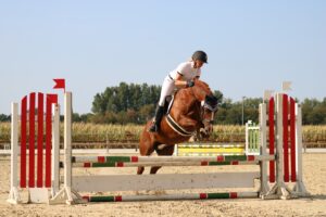 IMG_5789 IMG_5789