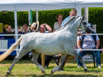 Foto-406 Leybuchts Gloria Foto-406 Leybuchts Gloria