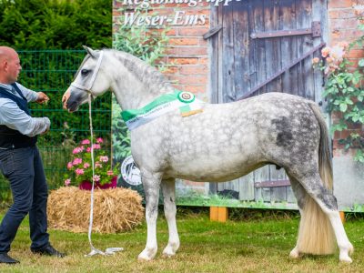 Foto-593 Selehem's Ca Ching Foto-593 Selehem's Ca Ching