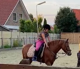 Ruska Eveline (2)_Moment7 Ruska Eveline (2)_Moment7