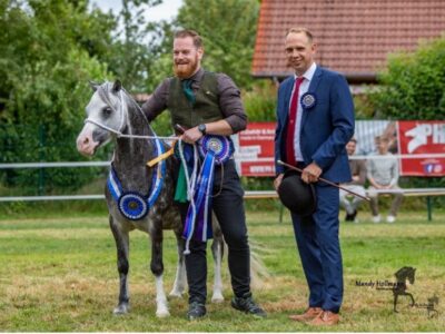 Reserve Tagessieger Reserve Tagessieger