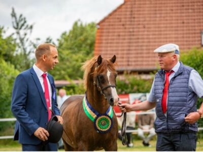 Tagessieger Weser Ems Tagessieger Weser Ems