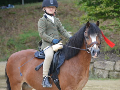 Sophie Amalia Brunn auf Paaskamps Reiderlander, ADSC_6530 Sophie Amalia Brunn auf Paaskamps Reiderlander