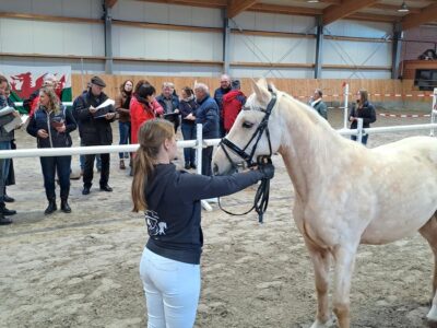 5 intensives Begutachten
