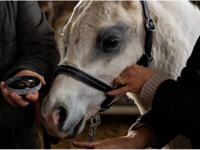 Weser Ems Schauvorbereitung5 Weser Ems Schauvorbereitung5