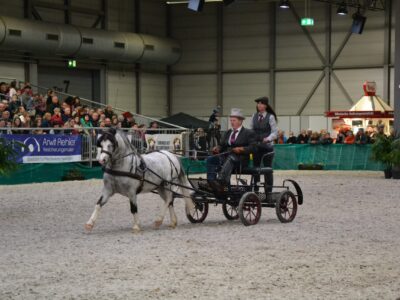 06_IMG-20240407-WA0166 06_IMG-20240407-WA0166