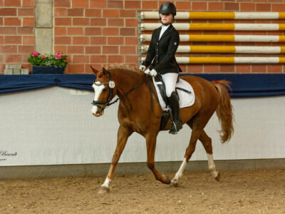Sieger First Ridden