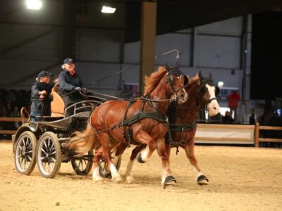 Foto: Bestloh Fotografie