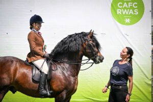 IMG_1346 IMG_1346