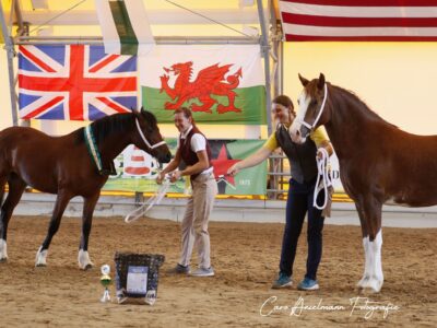 Jugendsiegerin Mischel Lady Isabell (Michaela Peknikova) und Jugendreservesiegerin Kayermerdin Keyna Fam. Weller)