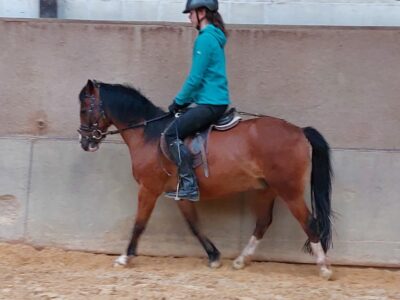 Twister (5) Twister (5)