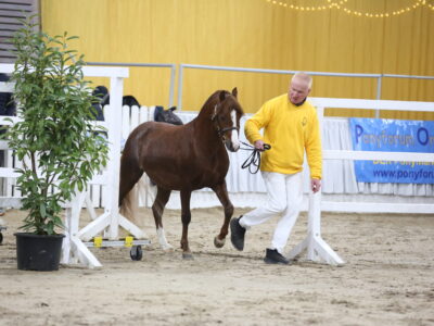 Ricardo AS, Foto Marianne Schwöbel