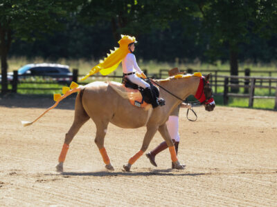 Sportsday Hessen
